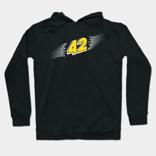 42 The answer to everything Hoodie